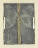 Device 1962 Limited Edition Print by Jasper Johns - 1