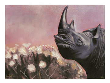 Rhino Dusk 2008 Limited Edition Print - Michael Joseph Rhino Dusk 2008 Limited Edition Print - Michael Joseph