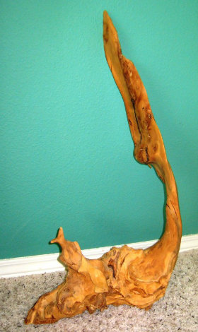 Bird in Flight Sandlewood Sculpture Unique 1992 22x5 Sculpture - Randy Joseph