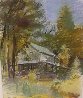 Closed Cabin in Martin's Point Pastel 1994 Works on Paper (not prints) by Wolf Kahn - 3
