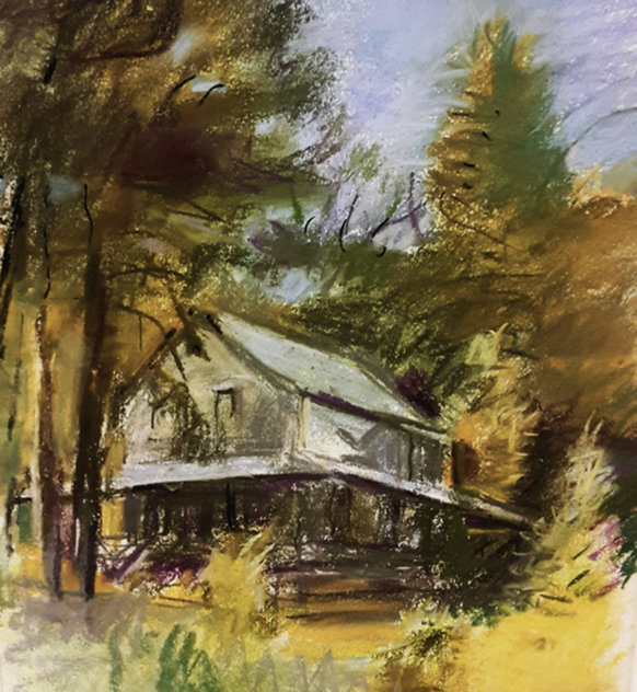 Closed Cabin in Martin's Point Pastel 1994 Works on Paper (not prints) by Wolf Kahn