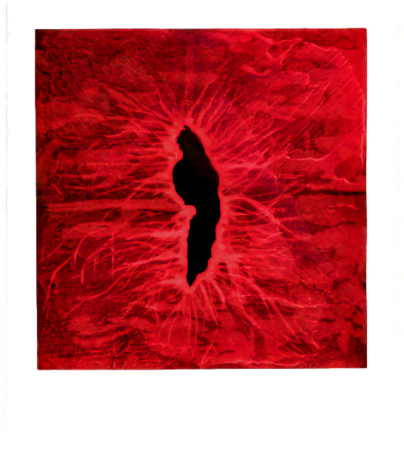Untitled 10 1990 HS - Huge Limited Edition Print by Anish Kapoor