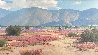 Desert in Bloom 1980 15x27 - California, Palm Springs, Original Painting by Karl Albert - 0