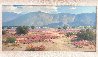Desert in Bloom 1980 15x27 - California, Palm Springs, Original Painting by Karl Albert - 2