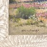 Desert in Bloom 1980 15x27 - California, Palm Springs, Original Painting by Karl Albert - 3