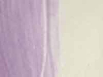 Flowers 2017 Limited Edition Print - Alex Katz Flowers 2017 Limited Edition Print - Alex Katz