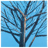 Tree 8 2022 HS - Huge Limited Edition Print by Alex Katz - 1