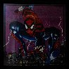 Spider Man 1996 72x72 Huge Mural Size Original Painting by Steve Kaufman - 1 Spider Man 1996 72x72 Huge Mural Size Original Painting by Steve Kaufman - 1