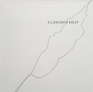 Untitled Drawing (Leaf) 2008 19x17 Drawing - Ellsworth Kelly Untitled Drawing (Leaf) 2008 19x17 Drawing - Ellsworth Kelly
