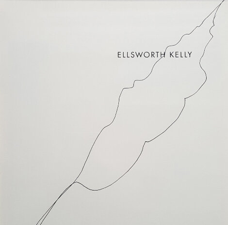 Untitled (Original Plant Drawing) Drawing - Ellsworth Kelly