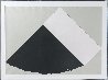 Dark Gray and White 1977 Limited Edition Print by Ellsworth Kelly - 1
