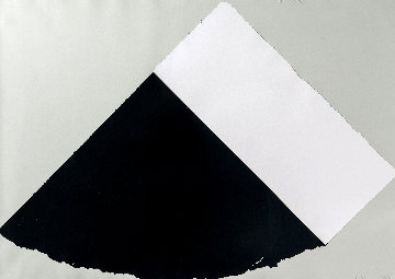 Dark Gray and White 1977 Limited Edition Print - Ellsworth Kelly Dark Gray and White 1977 Limited Edition Print - Ellsworth Kelly