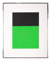 Black / Green 1970 Limited Edition Print by Ellsworth Kelly - 1