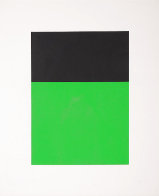 Black / Green 1970 Limited Edition Print by Ellsworth Kelly - 2