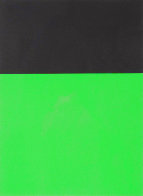 Black / Green 1970 Limited Edition Print by Ellsworth Kelly - 0