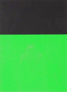 Black / Green 1970 Limited Edition Print - Ellsworth Kelly