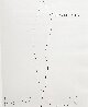 Untitled (Original Plant Drawing) 1998 20x17 Drawing by Ellsworth Kelly - 0