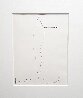 Untitled (Original Plant Drawing) 1998 20x17 Drawing by Ellsworth Kelly - 2