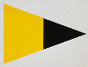 Black Yellow 1972 Limited Edition Print by Ellsworth Kelly - 0