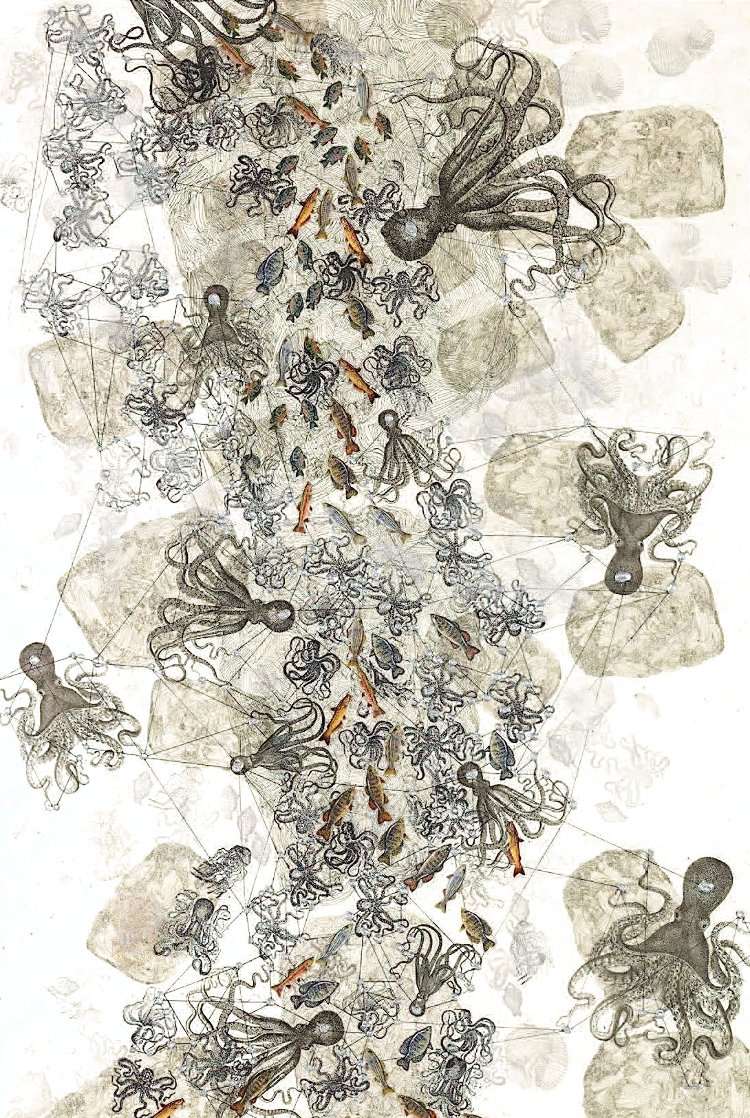 Octopus Mediation Series: Octopus Study 1 2018 42x25 - Huge Drawing by Ed Kerns