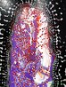 Who Looks Outside, Dreams; Who Looks Inside, Awakes 2022 41x31 Mixed Media on Canvas - Huge Original Painting by Ed Kerns - 0 Who Looks Outside, Dreams; Who Looks Inside, Awakes 2022 41x31 Mixed Media on Canvas - Huge Original Painting by Ed Kerns - 0