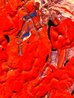 In Chaos There is a Cosmos, in All Disorder a Secret Order 2023 48x36 Mixed Media on Canvas - Inquire - Huge Original Painting by Ed Kerns - 3 In Chaos There is a Cosmos, in All Disorder a Secret Order 2023 48x36 Mixed Media on Canvas - Inquire - Huge Original Painting by Ed Kerns - 3