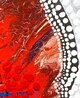In Chaos There is a Cosmos, in All Disorder a Secret Order 2023 48x36 Mixed Media on Canvas - Inquire - Huge Original Painting by Ed Kerns - 7 In Chaos There is a Cosmos, in All Disorder a Secret Order 2023 48x36 Mixed Media on Canvas - Inquire - Huge Original Painting by Ed Kerns - 7