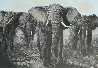 Elephant Stand 1972  60x72 Original Painting by Mark King - 0