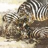 Zebras 1970 - Huge Limited Edition Print by Mark King - 3