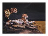 Pair of Cheetahs AP 2009 Embellished Limited Edition Print by Mark King - 0