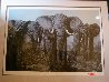 Elephant Stand 33x45 Huge Limited Edition Print by Mark King - 3