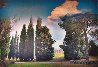 Tuscan Landscape 2007 Limited Edition Print by Michael Knigin - 1