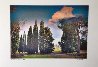 Tuscan Landscape 2007 Limited Edition Print by Michael Knigin - 2