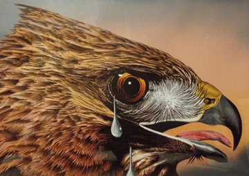 Special Bird II 1978 AP 1978 Limited Edition Print - Michael Knigin Special Bird II 1978 AP 1978 Limited Edition Print - Michael Knigin