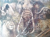 Big Five Series Africa Big Five 1996 Limited Edition Print by Kobus Moller - 2