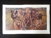 Big Five Series Africa Big Five 1996 Limited Edition Print by Kobus Moller - 5