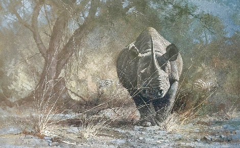 Rhino Country 1996 Limited Edition Print - Kobus Moller