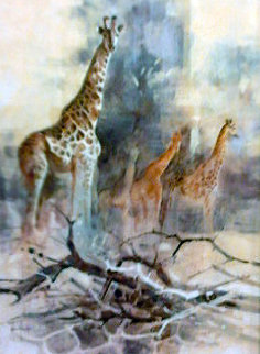 Giraffe 1988 35x28 Super Huge Original Painting - Kobus Moller Giraffe 1988 35x28 Super Huge Original Painting - Kobus Moller