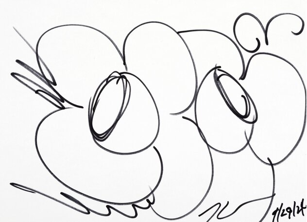 Untitled Floral 2024 9x12 - Pen Drawing Drawing by Jeff Koons
