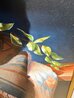 Light and Life 1991 32x28 - Oil on Canvas Original Painting by Sue Krzyston - 3 Light and Life 1991 32x28 - Oil on Canvas Original Painting by Sue Krzyston - 3