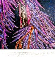 Mysterious Xishuangbanna AP 1995 Limited Edition Print by Shao Kuang Ting - 1 Mysterious Xishuangbanna AP 1995 Limited Edition Print by Shao Kuang Ting - 1