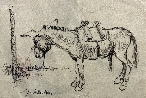 Donkey 6x8 Drawing - Joe Lasker