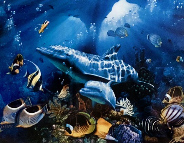 Rainbow Sea 1994 by Christian Riese Lassen