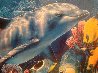 Rainbow Sea 1994 Limited Edition Print by Christian Riese Lassen - 3