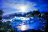 Moonlit Cove 2000 Limited Edition Print by Christian Riese Lassen - 0