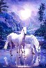 Peaceful Moments 2001 - Huge Limited Edition Print by Christian Riese Lassen - 0
