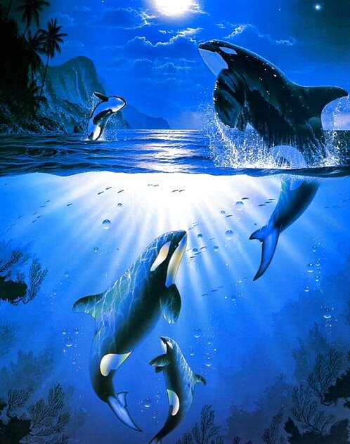 クリスチャン・リース・ラッセン　Dolphin Quest Ⅱ 1997年 Dolphin Quest II, 19.25x23, lithograph, by Christian Riese Lassen