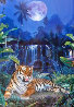 Eye of the Tiger 1998 Limited Edition Print by Christian Riese Lassen - 0 Eye of the Tiger 1998 Limited Edition Print by Christian Riese Lassen - 0