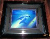 Dolphins of the Rainbow AP Limited Edition Print by Christian Riese Lassen - 1 Dolphins of the Rainbow AP Limited Edition Print by Christian Riese Lassen - 1