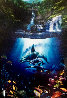 Sacred Pools 1994 - Maui, Hawaii Limited Edition Print by Christian Riese Lassen - 0
